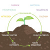 Cow Dung Manure Fertilizers for Plants & Home Gardening - 5 kg