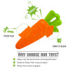 Veggie Series Carrot Squeaky Chew Toys for Dogs | Squeaky Toys