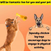 Dog Squeaky Chicken Leg Rubber Toy | Pet Toys for Puppies, Cats