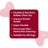 Rubber Dog Toy | Puppy Teething Toy - Medium, 12.7 cm