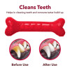 Rubber Dog Toy | Puppy Teething Toy - Medium, 12.7 cm