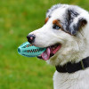 Rubber Dog Teething Toy - Rugby Ball for Labrador, Golden Retriever