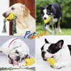 Dog Chew Nylon Toys | Teeth Cleaning Dog Toothbrush Toys