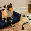 Rope Chewing Toys for Dogs | Dog Toy, Pet Toys Pack of 4