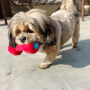 Red Dumbbell Plush Toys for Puppies, Dogs | Soft Squeaky Toys