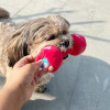 Red Dumbbell Plush Toys for Puppies, Dogs | Soft Squeaky Toys