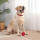 Pet Toys
