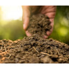 Organic Cow Dung Manure for Plants (5 KG) | Compost Khaad
