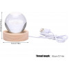 CPENSUS 3D Galaxy Crystal Ball Night Lamp,Solar System, USB Table Colorful LED Wooden Crystal Ball for Home Decoration Birthday Gift for Teens Boys and Girls (Dolphin with Moon)