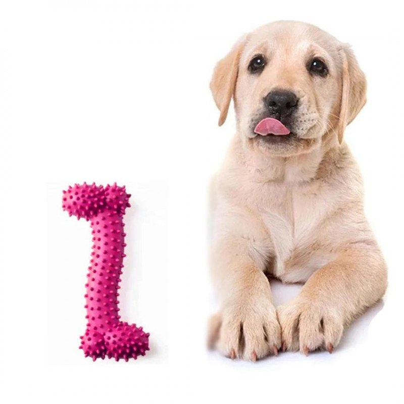 Dog chew toys 4 Inches | Chewing toy for puppies