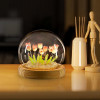 ALLWIN HOUSEWARE 3D Planet Crystal Ball Night Lamp, Solar System Night Light, USB Table Colorful LED Wooden Crystal for Teens Boys and Girls