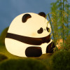Sleeping Panda Night Light Touch Silicone Lamp | Rechargeable LED Bedside Animal for Children's Bedroom