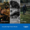 TP-Link Tapo C206 HybridCam 360 degree 1080p Pan/Tilt Security Camera | Indoor/Outdoor Surveillance with Alexa | Free Person/Baby Cry Detect & Motion Track | Color Night Vision, SD/Cloud Storage