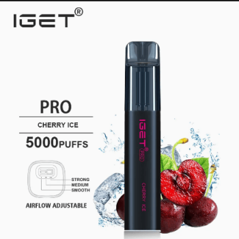 5000+ Puffs Iget Pro Disposable Vape | Vaporizer Hookah E-cigarettes