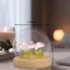 NEEVA CRAFT 3D Moon Astronaut Crystal Ball Night Light with Wooden Base - LED USB Table Lamp for Kids, Teens, and Home Decor(Astronut) NEEVA CRAFT 3D Moon Astronaut Crystal Ball Night Light with Wooden Base - LED USB Table Lamp for Kids, Teens, and Home Decor(Astronut)