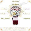 Electric Aroma Diffuser | Kapoor dani Night Lamp | Premium Home Decor Lamp, Soothing Fragrance Ambience by Using Laung, Kapoor, Essential Oil