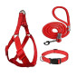 No Pull Dog Harness - Step in and Leash for Small Medium Large Dog - Escape Proof Adjustable Soft Dog Harness Leash Collar Set for Walking Training Hiking Outdoor (Bright RED)
