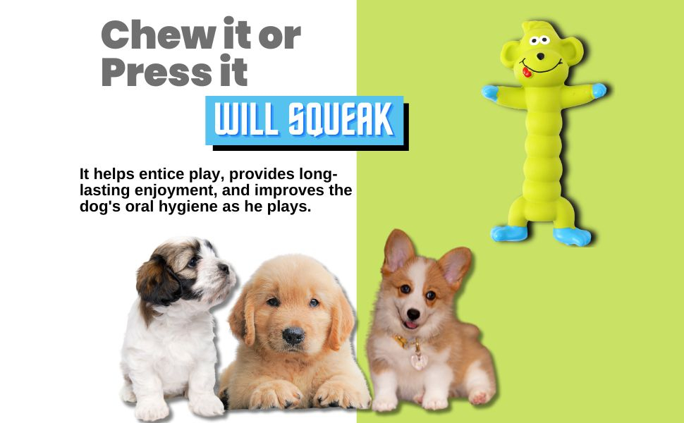 chew toy