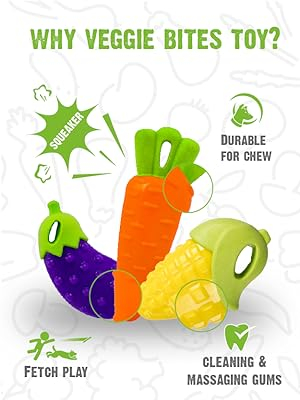 dog toys