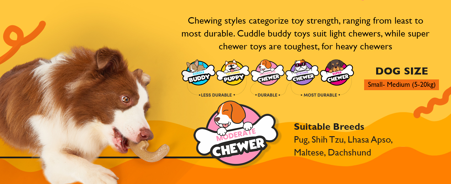 Ideal for small to medium dogs