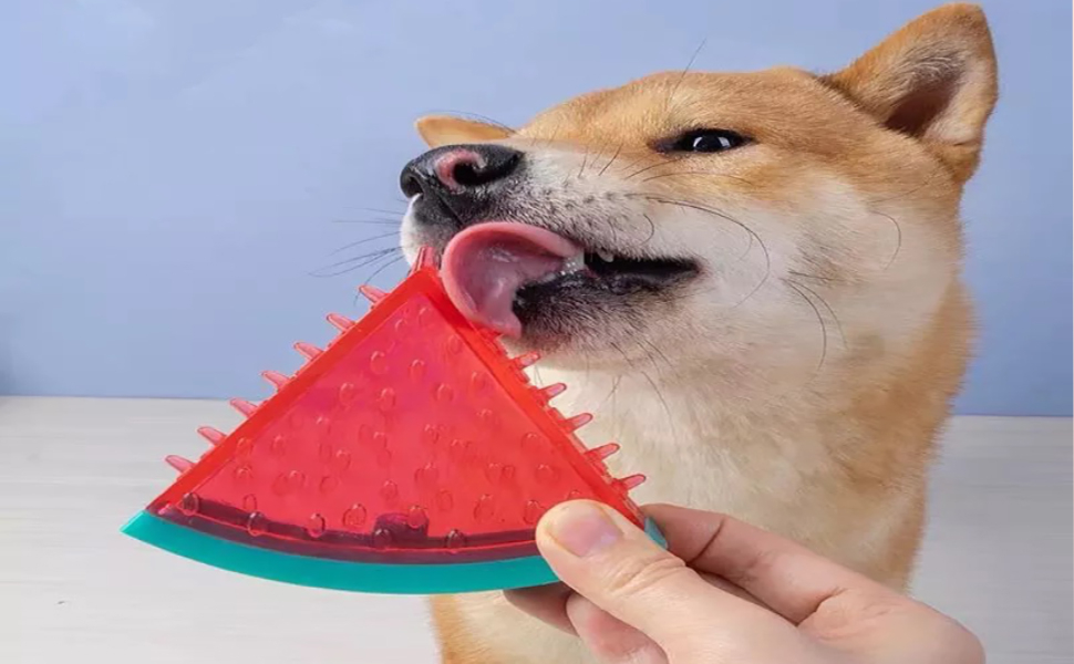 Chew Toys