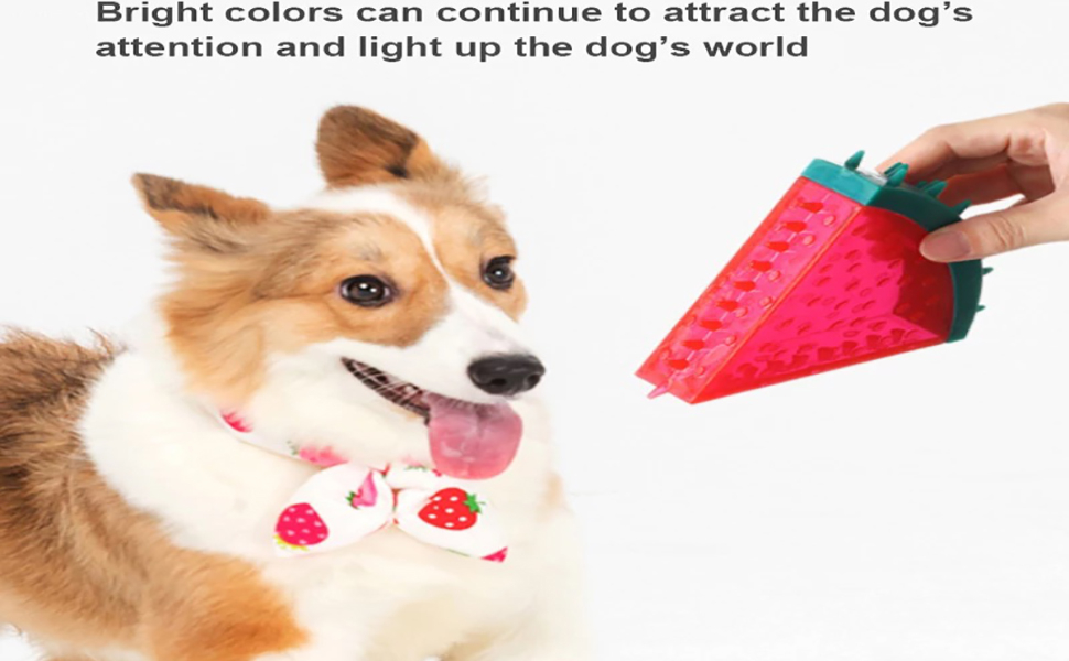 Chew Toys