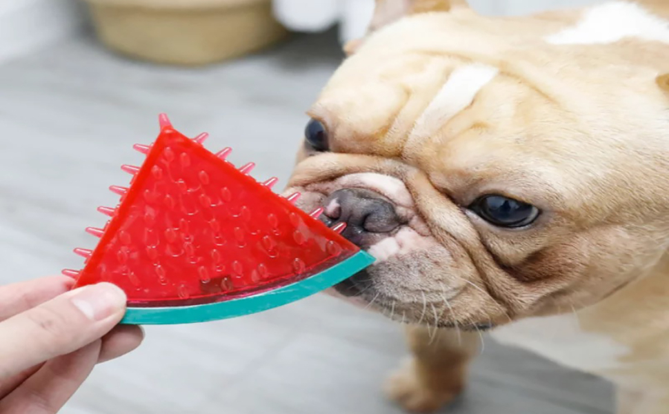 Vibrant Cooling Chew Toy Set