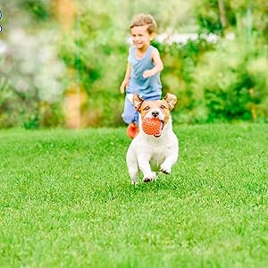 Keep Your Dog Always Busy