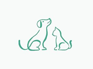 Dog Toy for All sizes