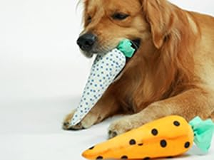 Interactive Play Toy - Snuggle carrots