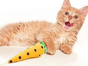Interactive Play Toy - Snuggle carrots