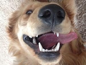 Gentle on teeth 