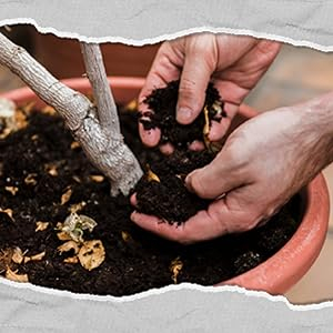The manure appears rich in texture, with visible organic matter and earthy tones